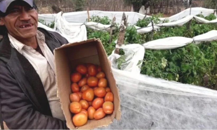 Captura de pantalla 2023-07-14 132739