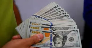 dolar blue