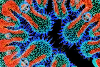 WhatsApp Image 2024-10-24 at 11.40.55 (3)