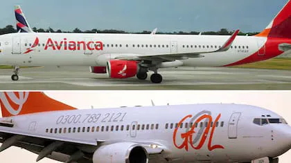 WhatsApp Image 2024-11-04 at 13.09.19