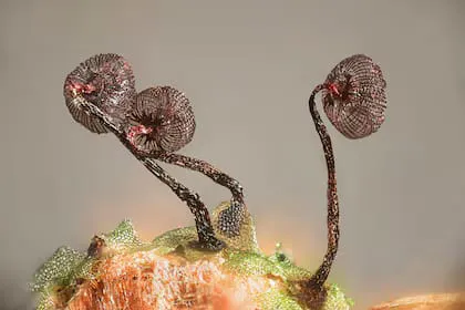 WhatsApp Image 2024-10-24 at 11.40.55 (2)