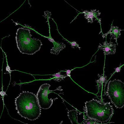 WhatsApp Image 2024-10-24 at 11.40.54 (1)