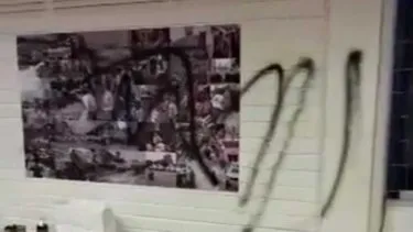 venezuela-sede-1jpeg