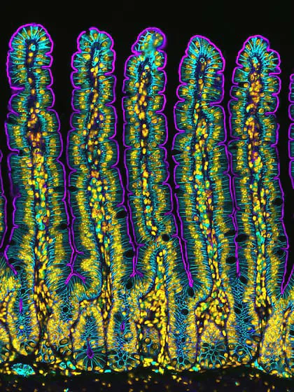 WhatsApp Image 2024-10-24 at 11.40.55