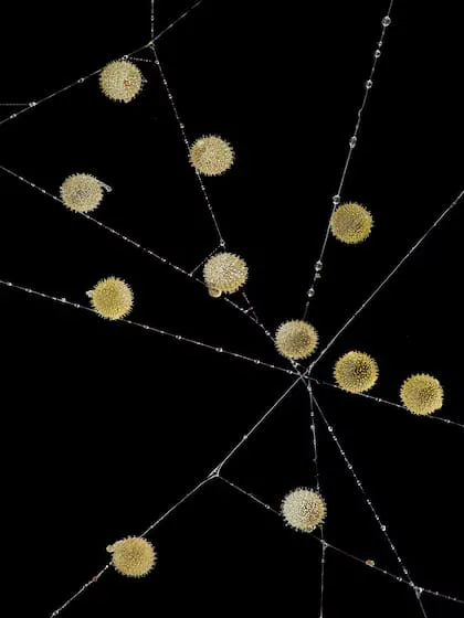 WhatsApp Image 2024-10-24 at 11.40.56