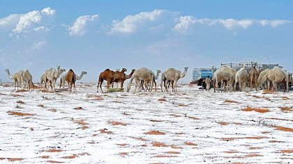 RGQJA4AD75FFZOJKXWOFYKXFYA