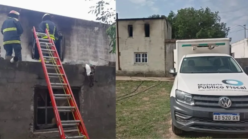 WhatsApp Image 2024-11-04 at 14.48.37