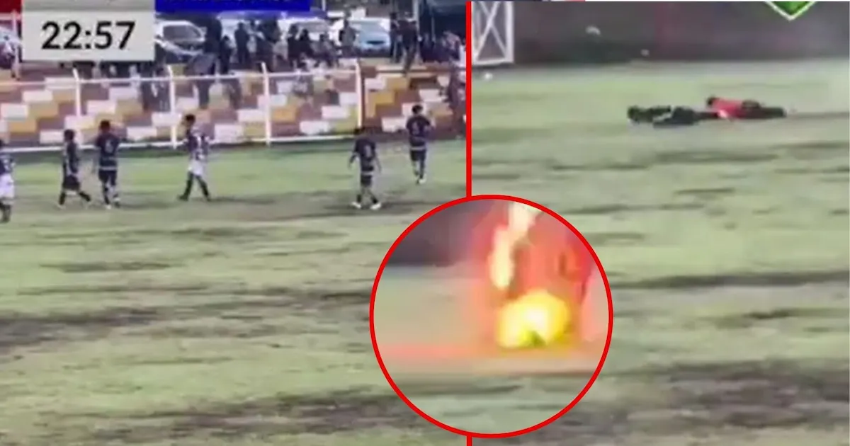 WhatsApp Image 2024-11-04 at 15.08.50