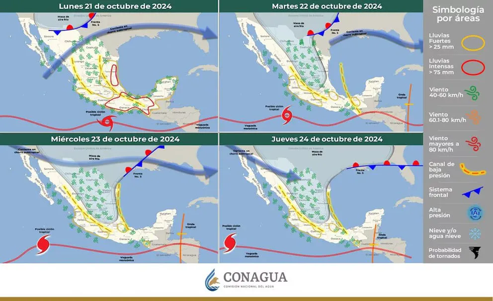 WhatsApp Image 2024-10-21 at 17.14.04